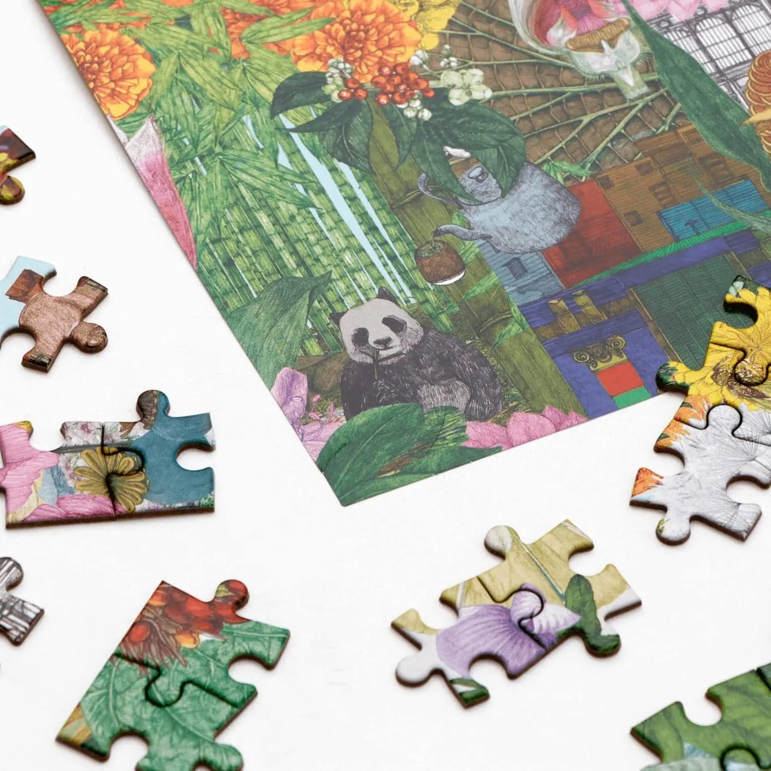 In 50 Pflanzen um die Welt