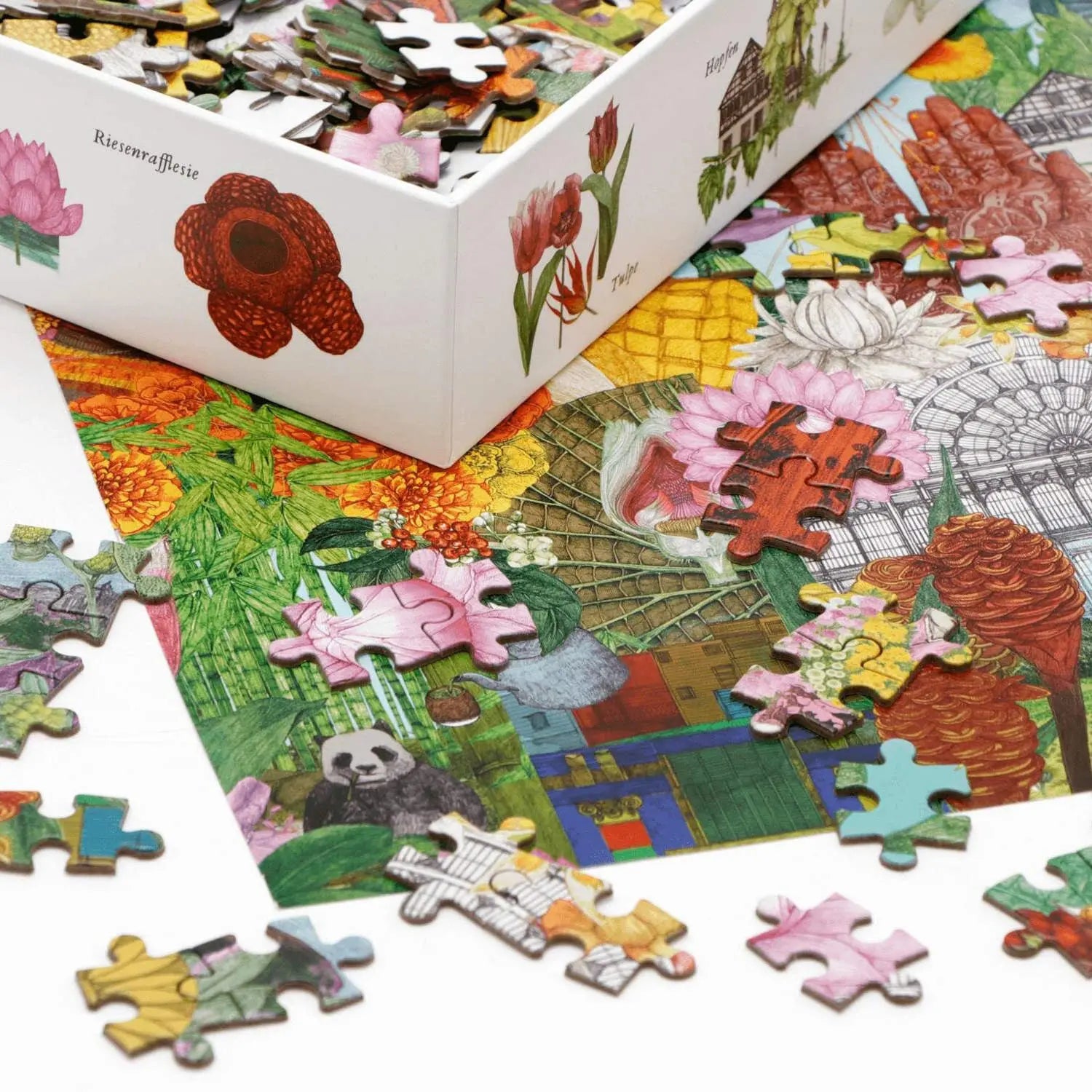 In 50 Pflanzen um die Welt