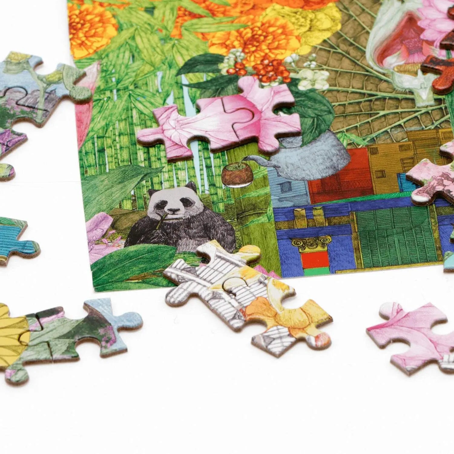 In 50 Pflanzen um die Welt