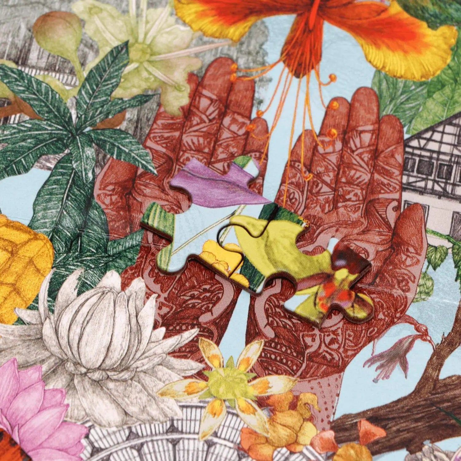 In 50 Pflanzen um die Welt