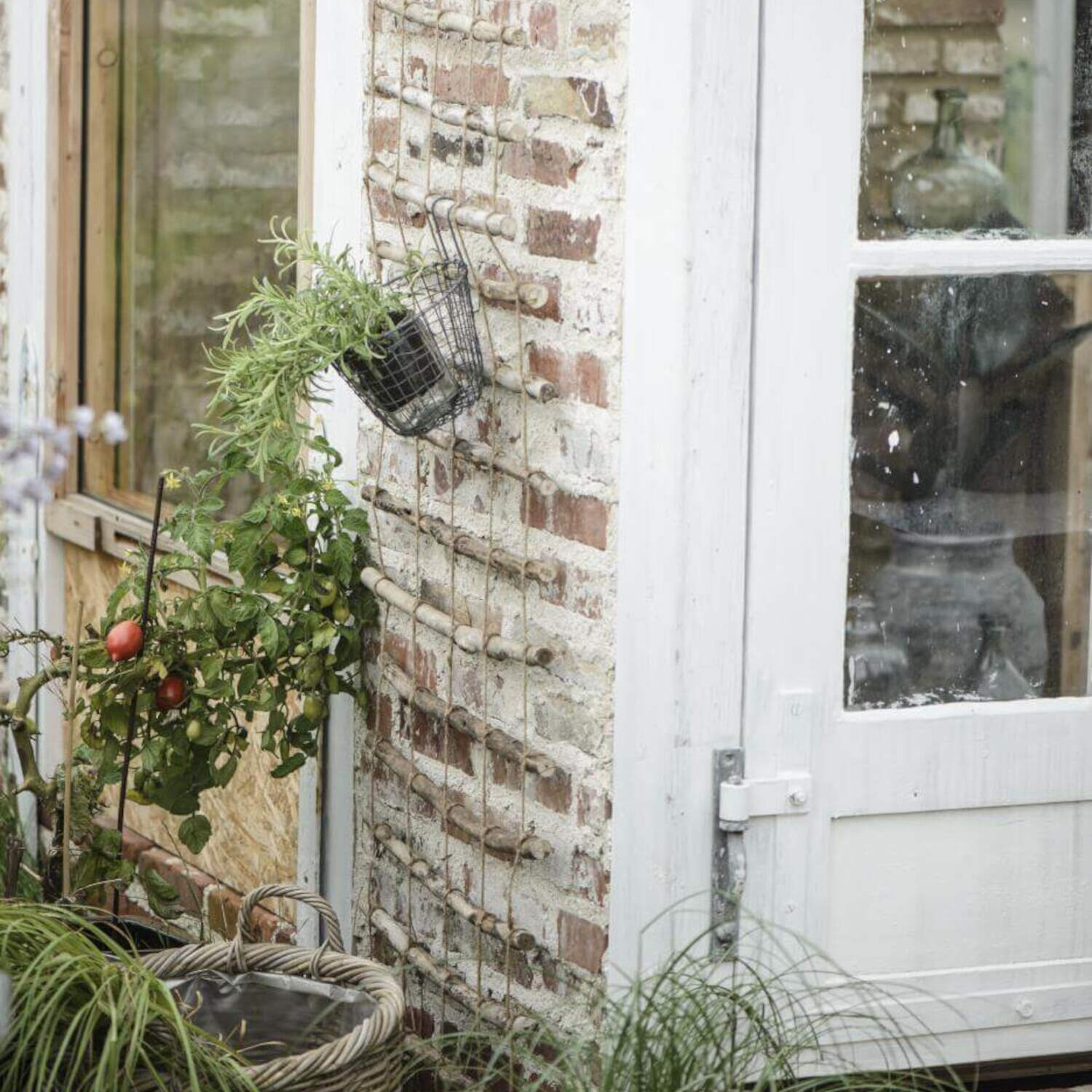 Spalier aus Zweigen und Schnüren - 50x220 cm