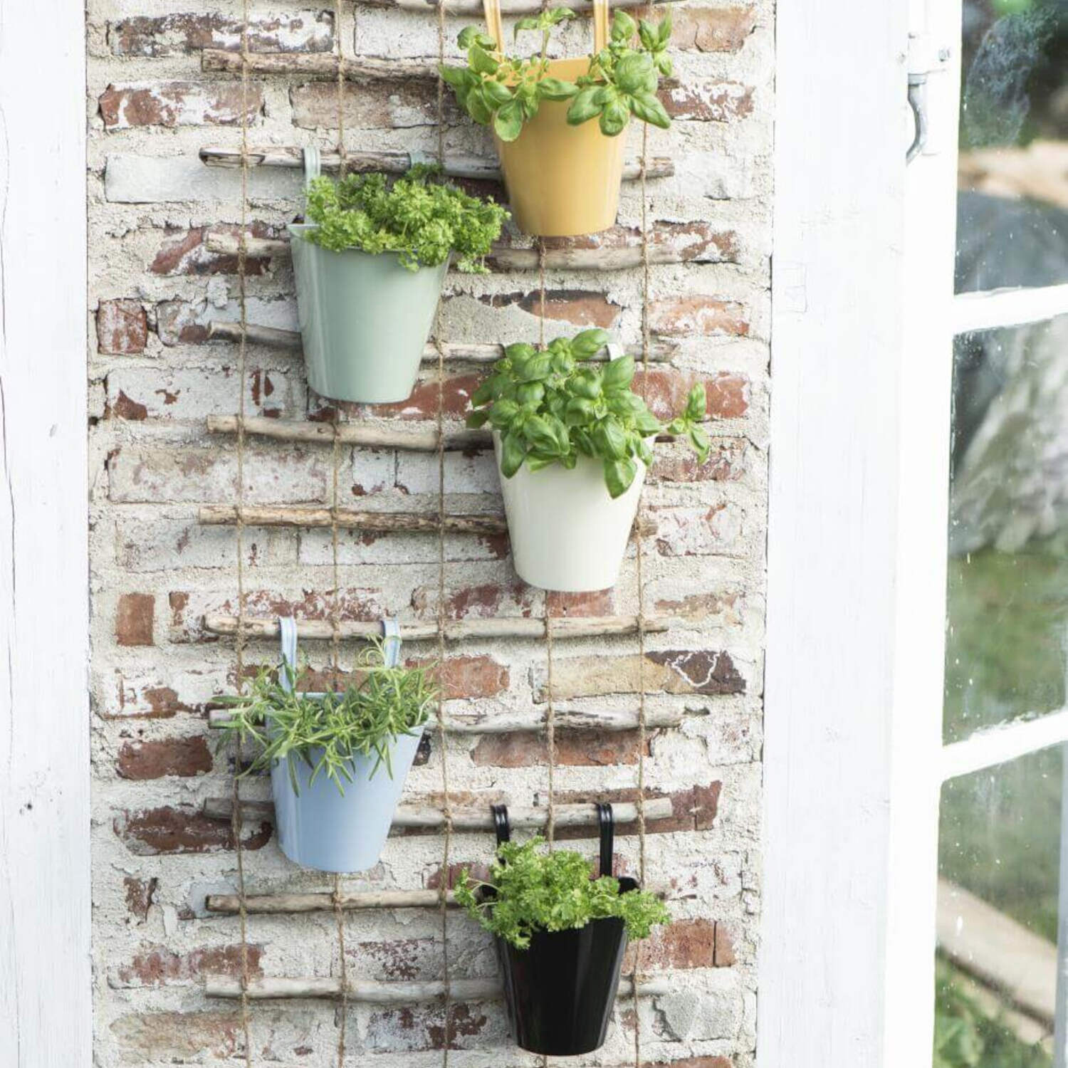 Spalier aus Zweigen und Schnüren - 50x220 cm