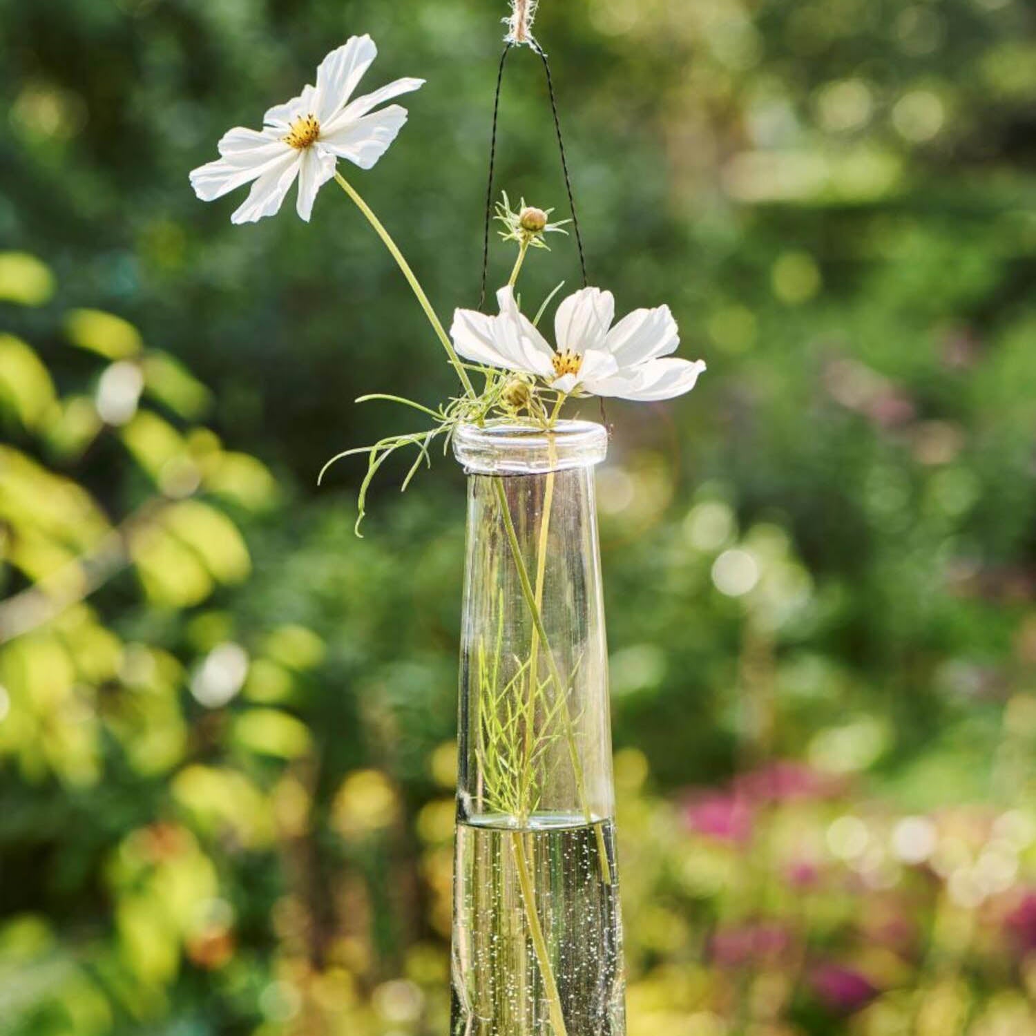 Vase zum Hängen - 5,5x26 cm (Transparent) Ib Laursen