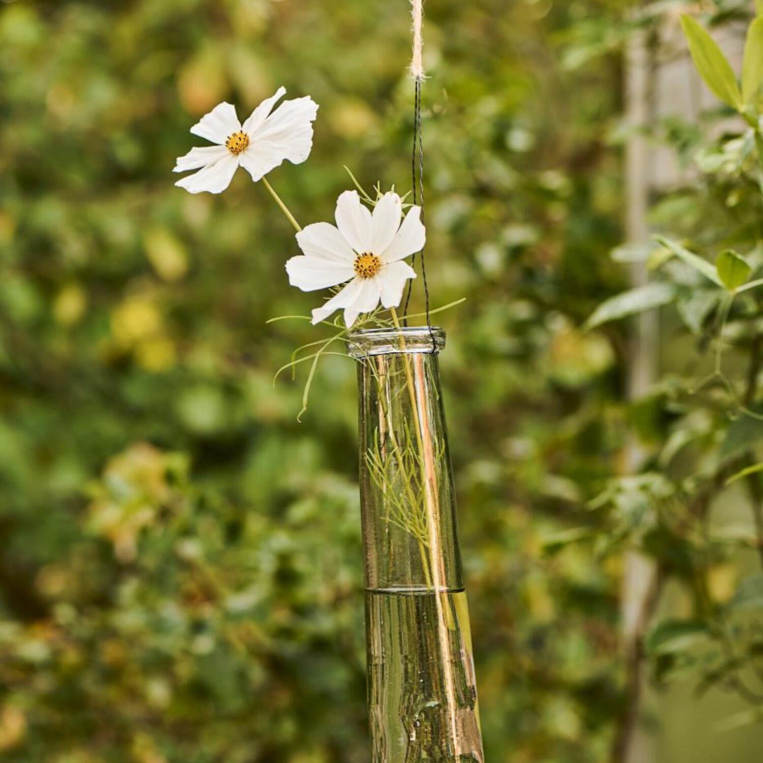 Vase zum Hängen - 5,5x26 cm (Transparent) Ib Laursen