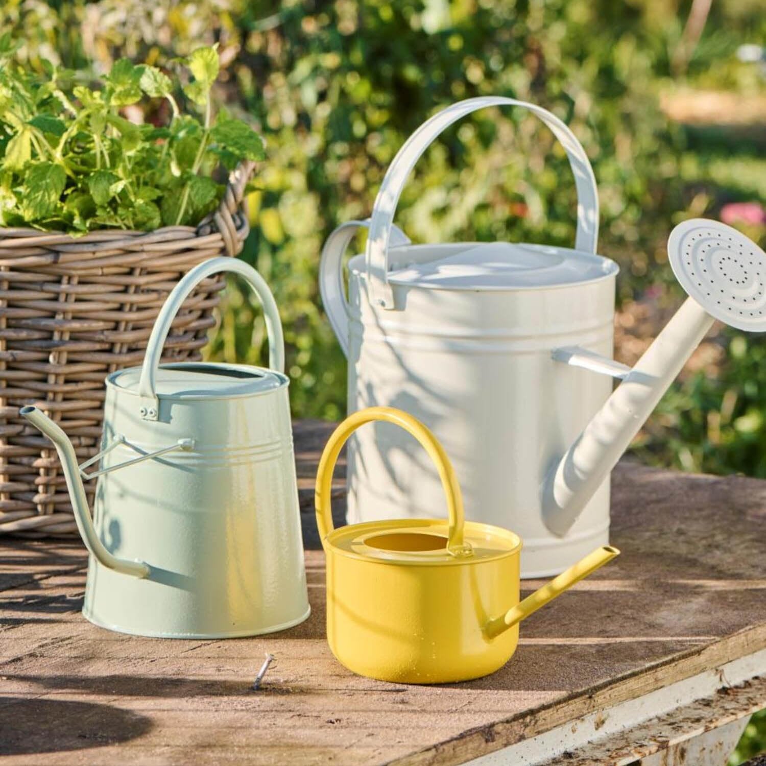 Gießkanne mit Brause - 6,3 l (Graunatur)