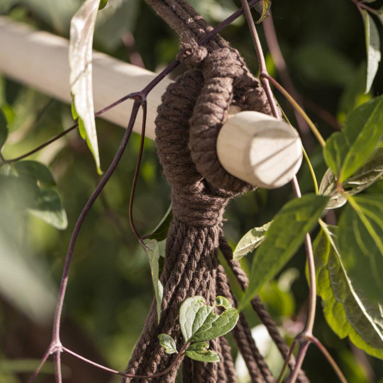 Hängesessel mit Quasten (Braun)