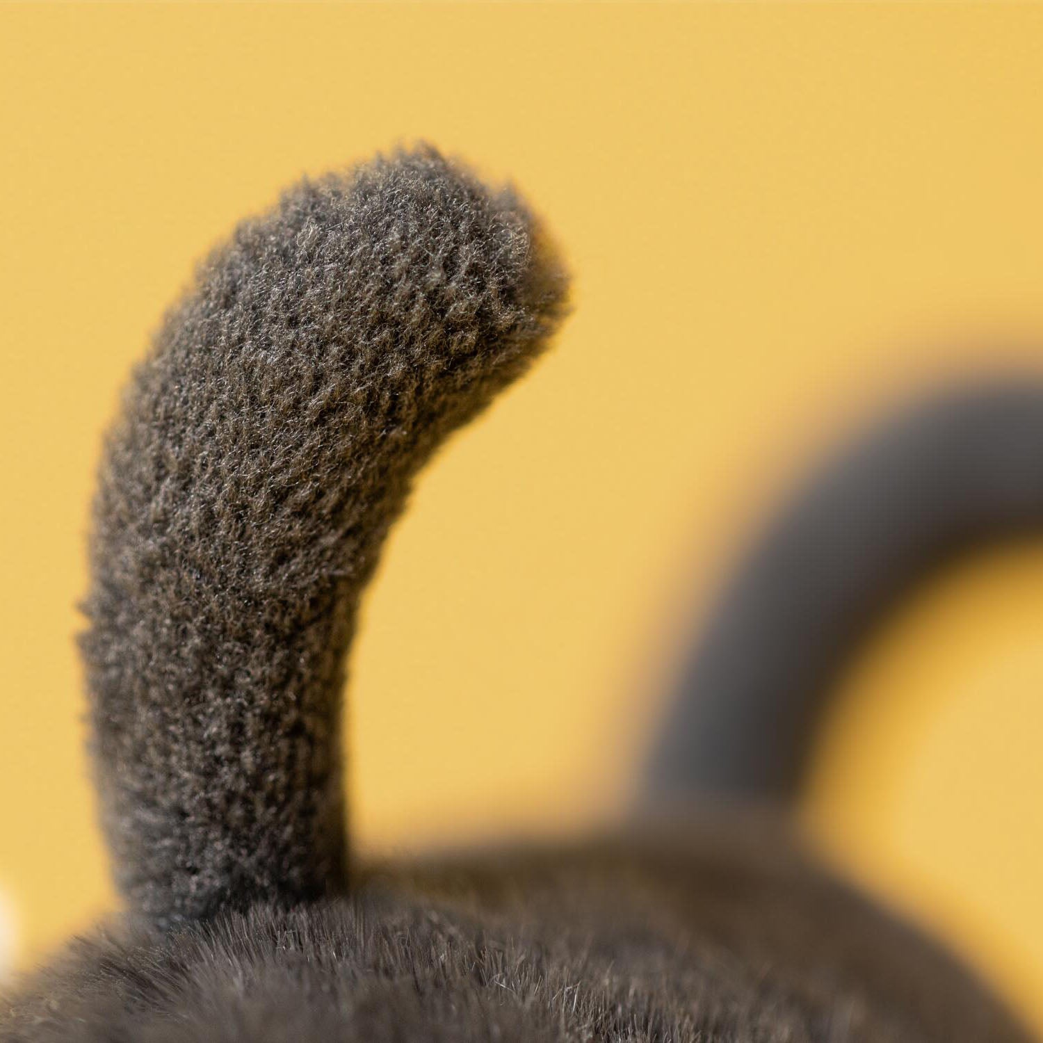 Jellycat Kuscheltier Biene "Albee Bee" - 16 cm (Gelb/Schwarz)