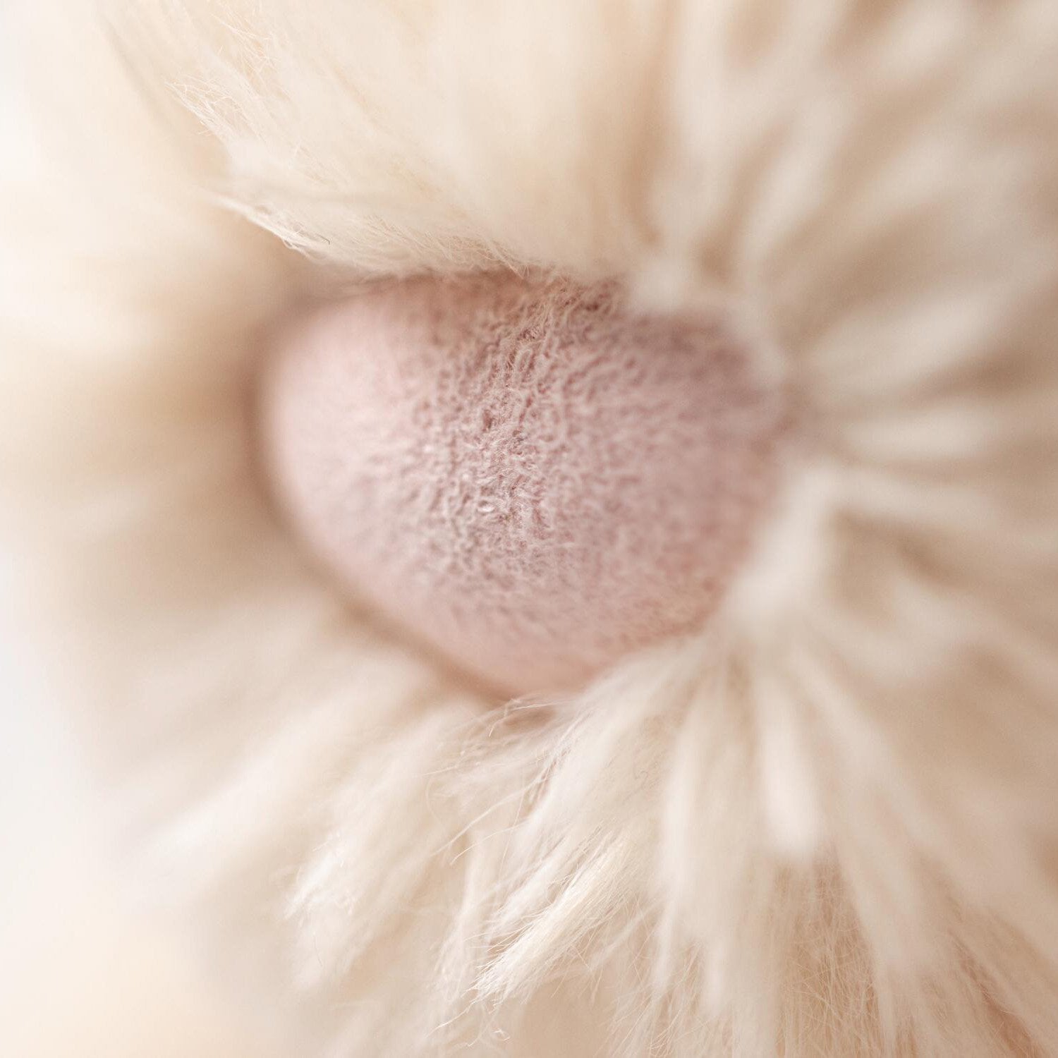 Kuscheltier Hase "Smudge" - 42 cm (Creme)