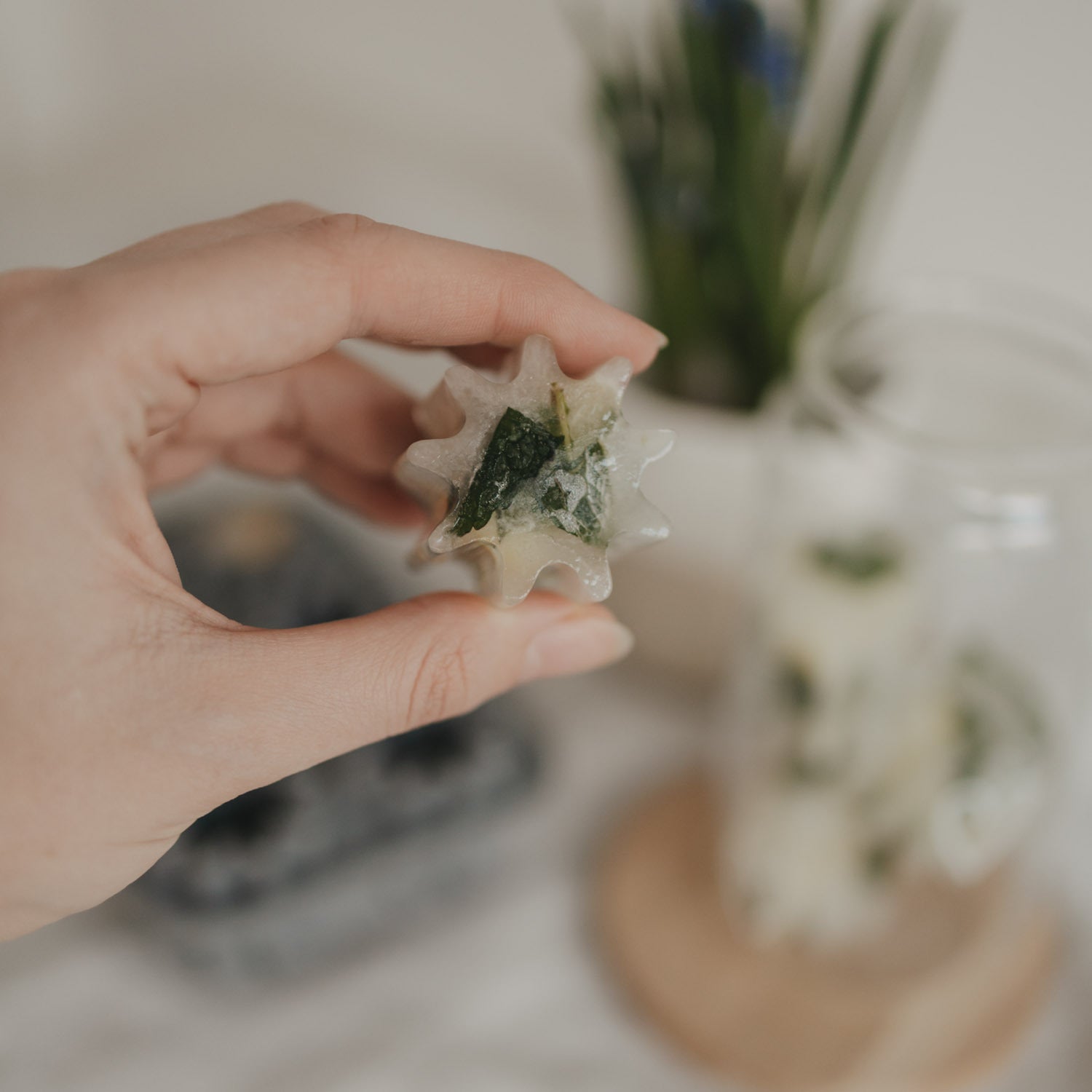 Hand hält einen Blumen-Eiswürfel aus der Dose, grüne Kräuter sichtbar