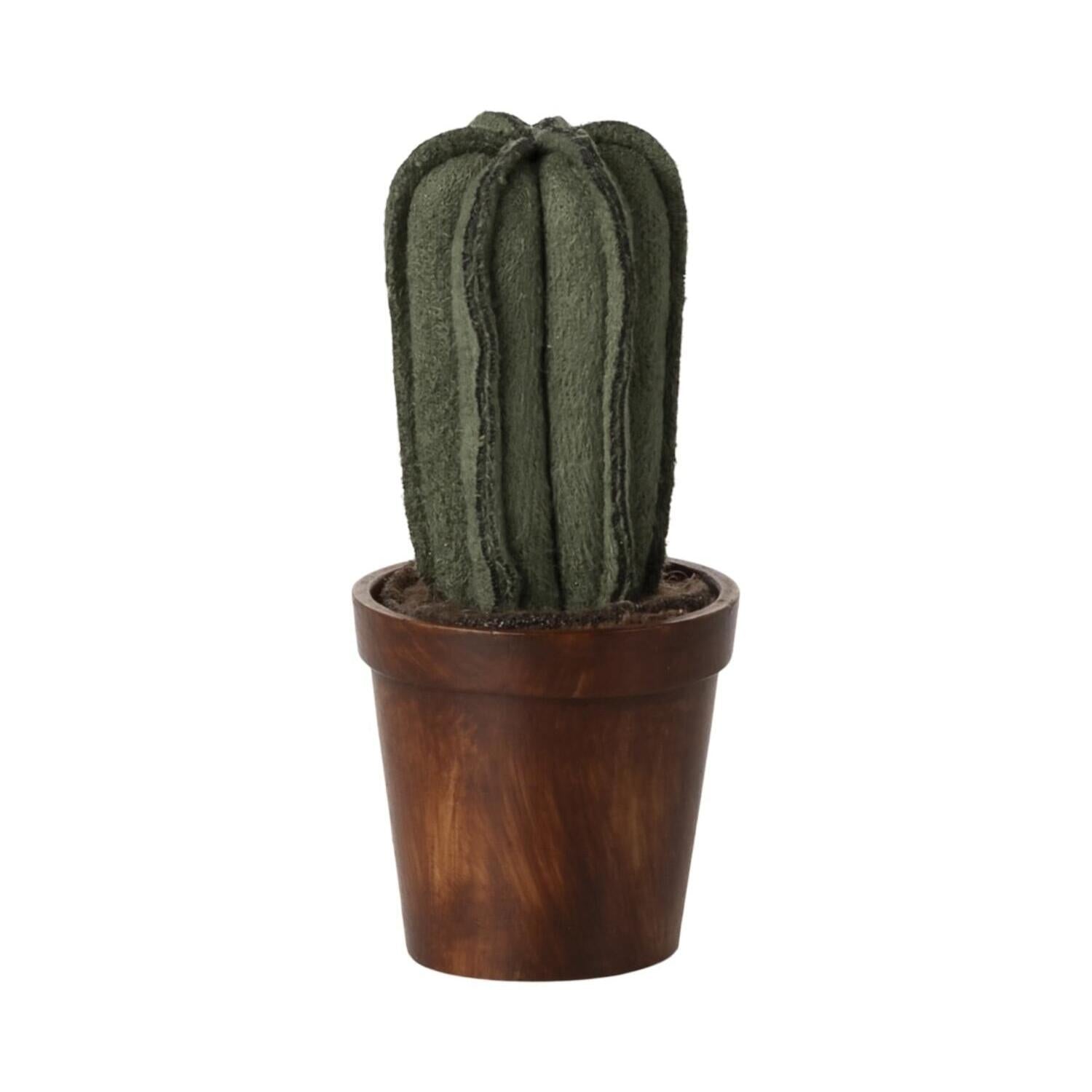 Blumentopf mit Kaktus (Braun/Grün)