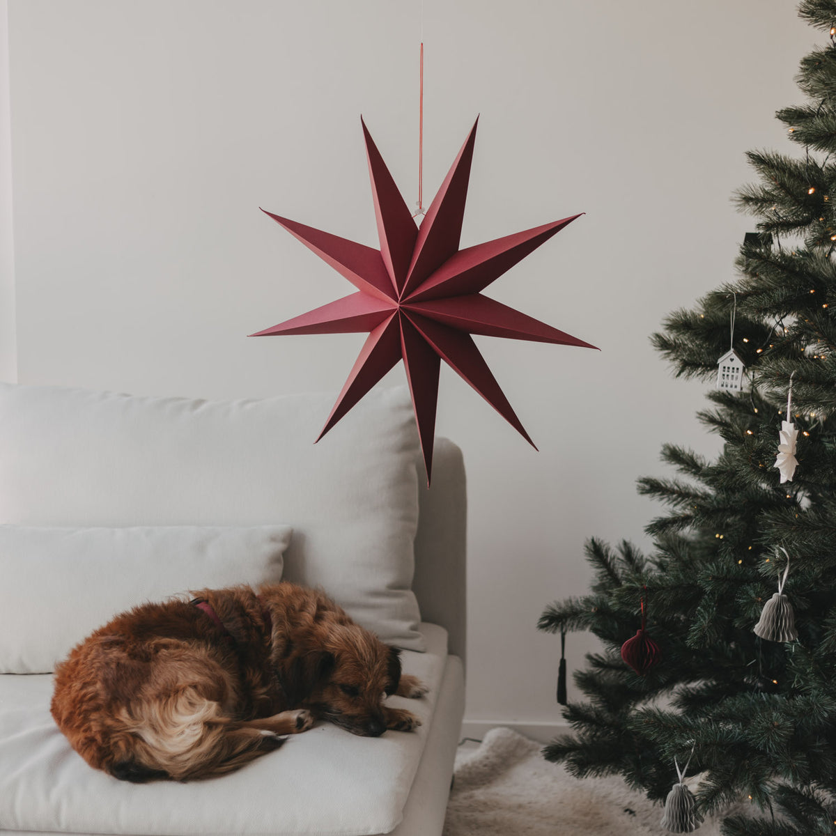 Ein roter Papierstern im 3er-Set mit Aufhängeschnur, neben Weihnachtsbaum-Deko