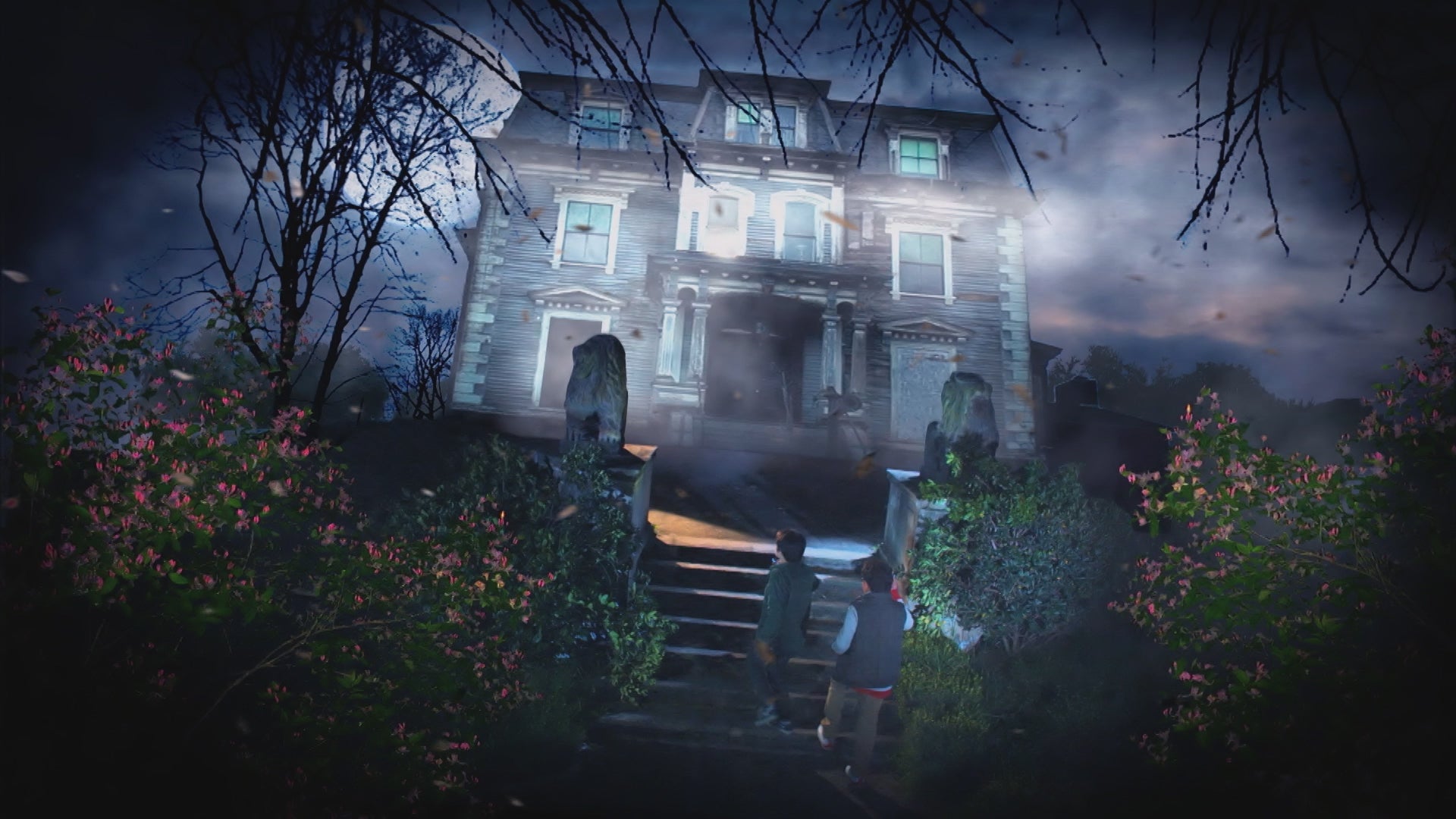 Video laden: Spielregel-Video