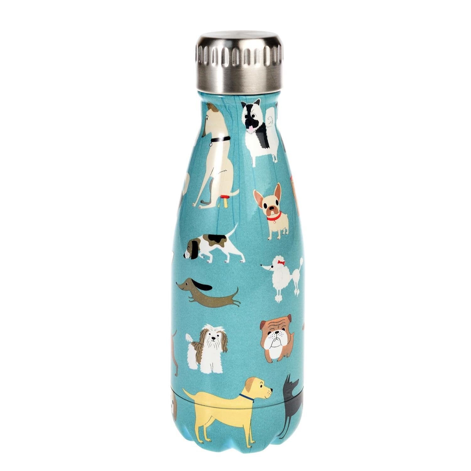 Kindertrinkflasche aus Edelstahl, blau mit Tiermotiv (Hunde/Katzen) und silbernem Schraubdeckel