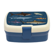 Lunchbox mit Hai-Motiv, cremefarbenes Oberteil und blauem Korpus