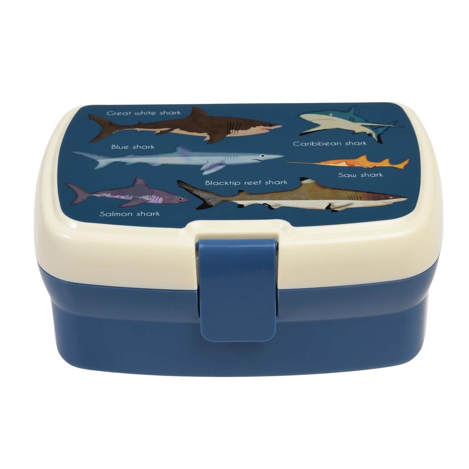 Lunchbox mit Hai-Motiv, cremefarbenes Oberteil und blauem Korpus