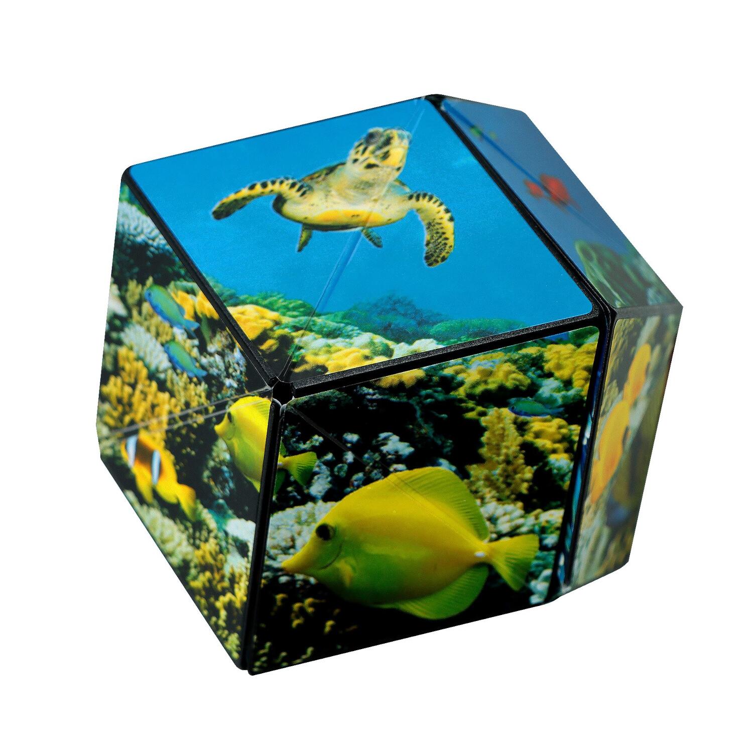 Shashibo Magnetwürfel Entdecker Serie – Undersea