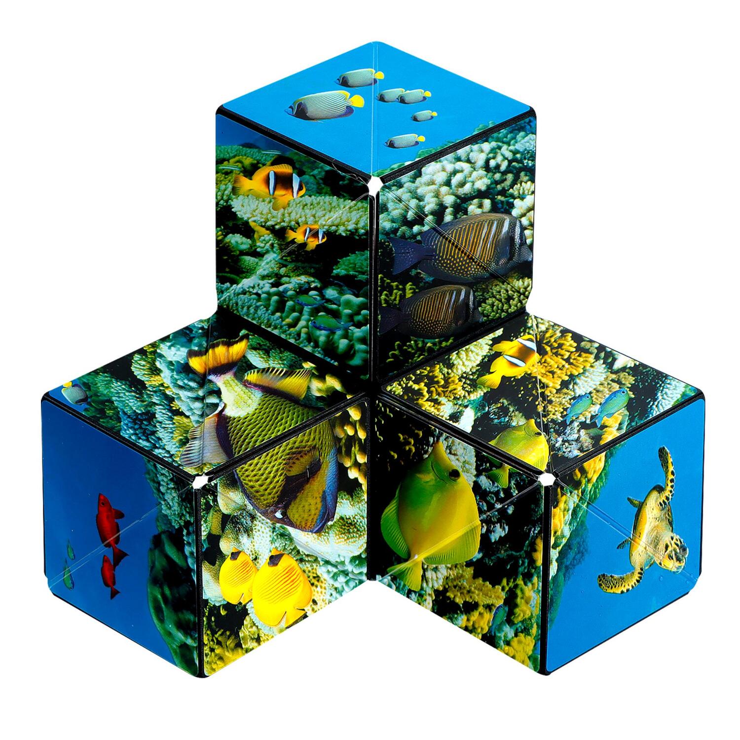 Shashibo Magnetwürfel Entdecker Serie – Undersea