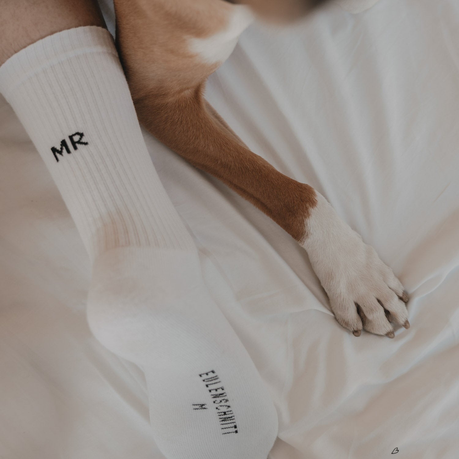 Socken "Mr" (Weiß)