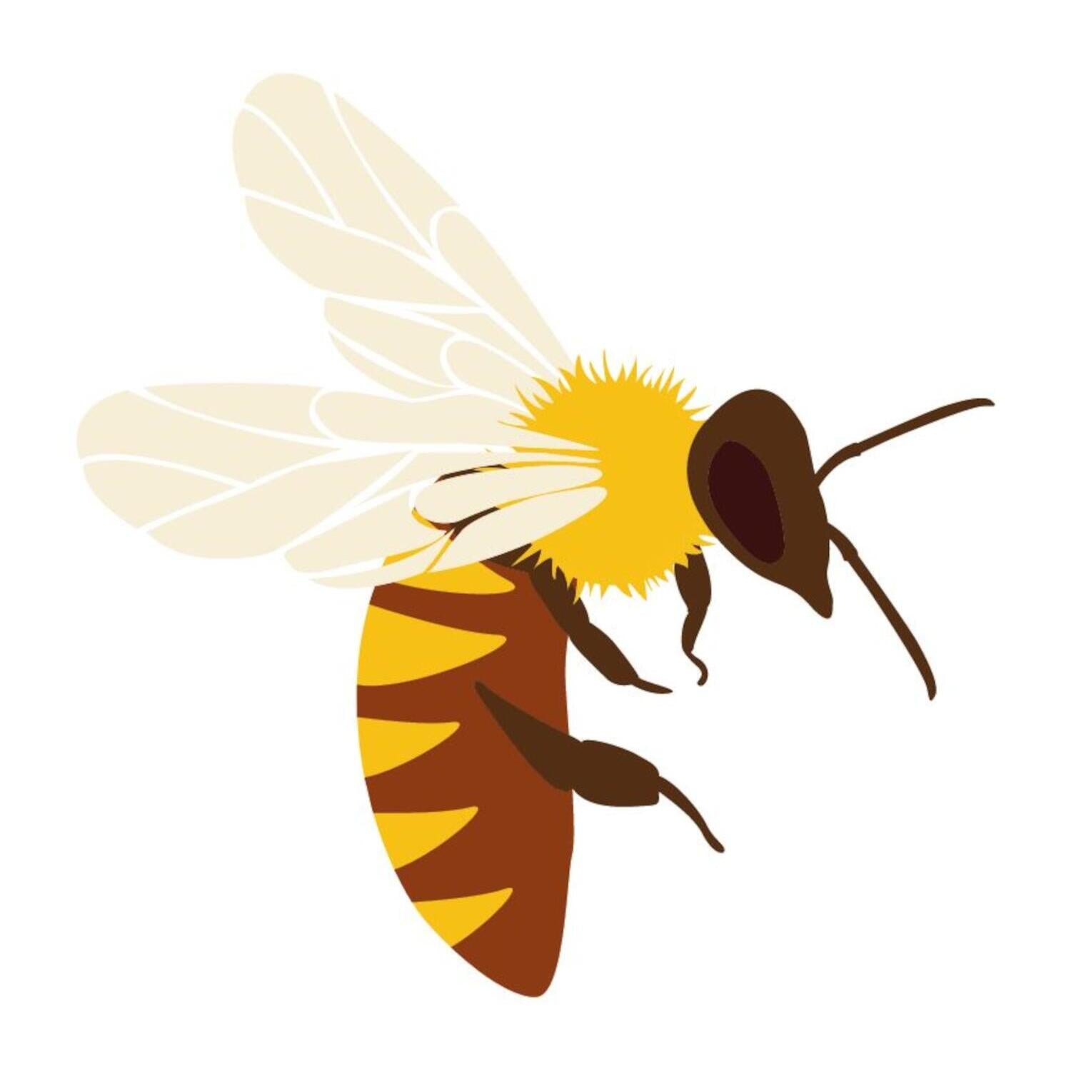 Happy Bee