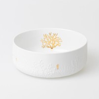 Schale "Seepferd - Koralle" - 18,3x7 cm (Weiß) von räder Design
